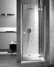 Душевая дверь Radaway  Almatea Gold DWJ 100 L/ R 31202-09-01N